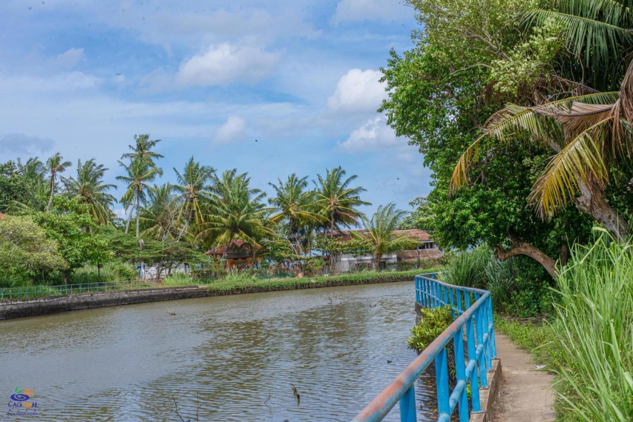Oasis Lagoon Garden Tangalle Exteriör bild
